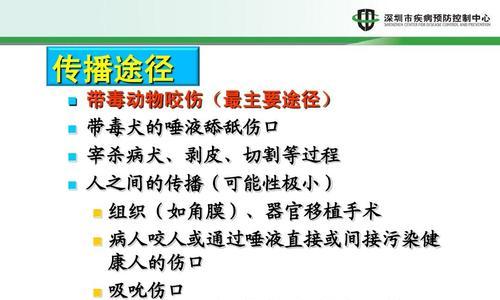 狂犬病预防手册（如何保护宠物和自己免受狂犬病的侵害）