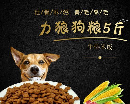 宠物的饮食健康——贵宾犬能否吃米饭？（探究贵宾犬饮食健康的秘密，给爱宠一个健康的生活！）