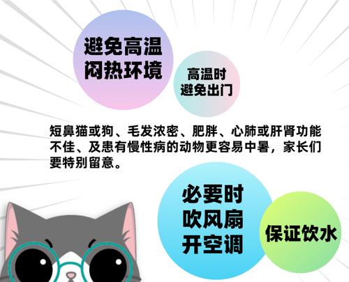 掌握宠物急救技能，千万不要慌张（掌握宠物急救技能，千万不要慌张）