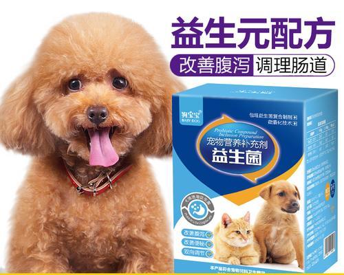 如何给贵宾犬补钙（关注宠物健康，从补钙开始）