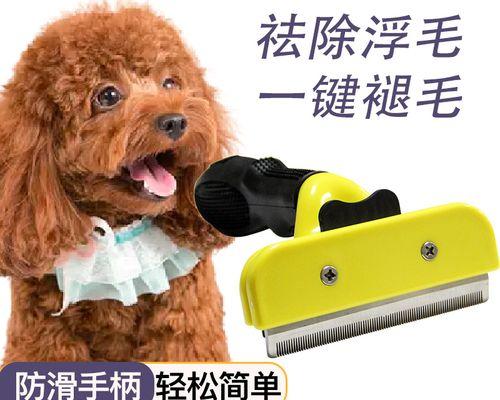 打造柔顺顺滑的贵宾犬毛发（以刷子为武器，细节决定成败）