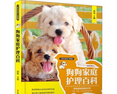 如何照顾老年狗狗（专业宠物护理师教你如何细心呵护你的爱犬）