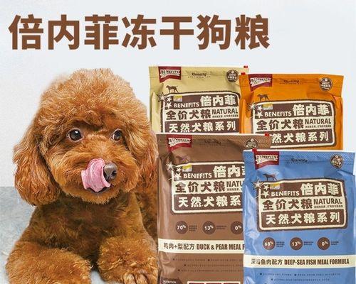 贵宾犬的健康饮食——如何选择适合的狗粮（以宠物为主，从营养角度出发选择狗粮）