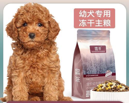 贵宾犬的健康饮食——如何选择适合的狗粮（以宠物为主，从营养角度出发选择狗粮）