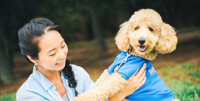 贵宾犬的运动量管理（如何科学合理地给贵宾犬运动？）