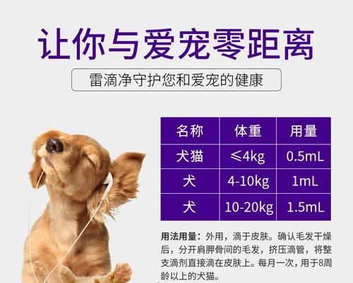 贵宾犬有跳蚤怎么办？（宠物跳蚤防治攻略，让你的贵宾犬不再被困扰！）