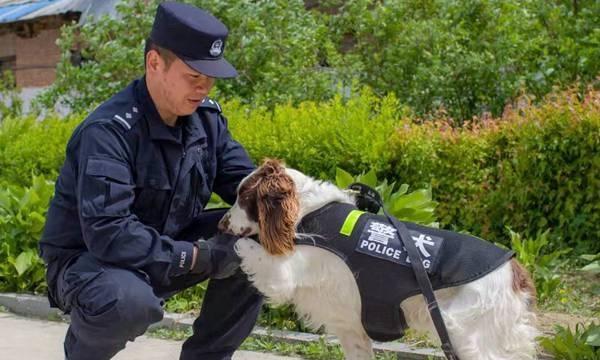 探寻警犬之王（解密警犬品种的秘密，了解警犬工作的神秘背后！）