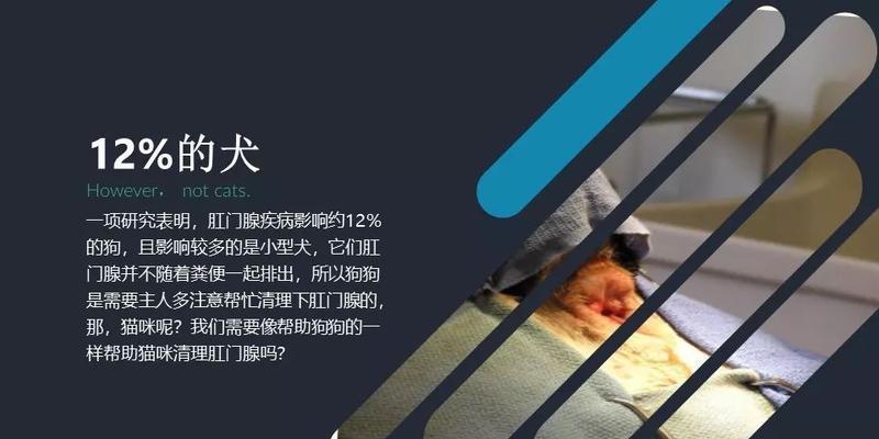 如何正确清理柯基犬肛门腺？（宠物健康的关键、清洁方法、预防措施）