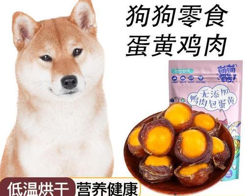 宠物秋田犬爱吃零嘴该怎么办？（正确喂养秋田犬，从限制零食开始）