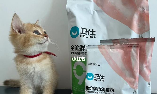 三个月小猫的饮食指南（如何为你的小猫提供最好的饮食）