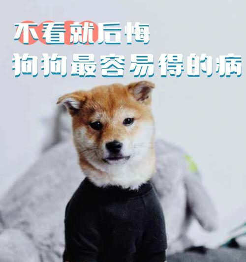 新购犬易生病，如何预防？（宠物新生活，疾病隐患大）