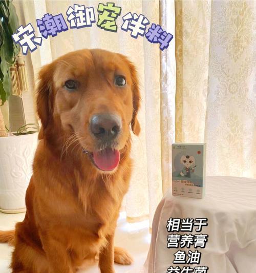 如何科学喂养幼犬（从营养补充到饮食规划，为宠物的健康提供全方位保障）