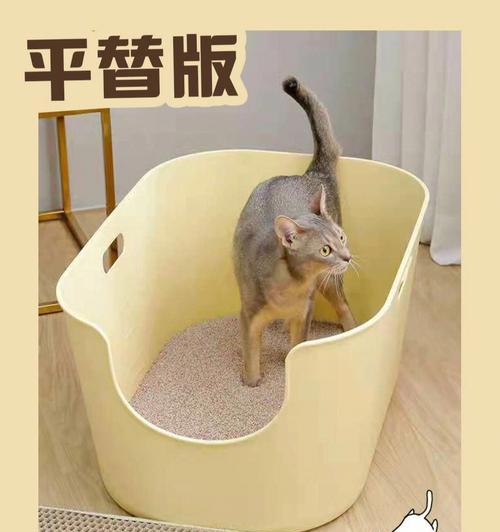 猫咪训练之猫砂盆使用技巧（如何让宠物猫学会在猫砂盆里方便大小便）