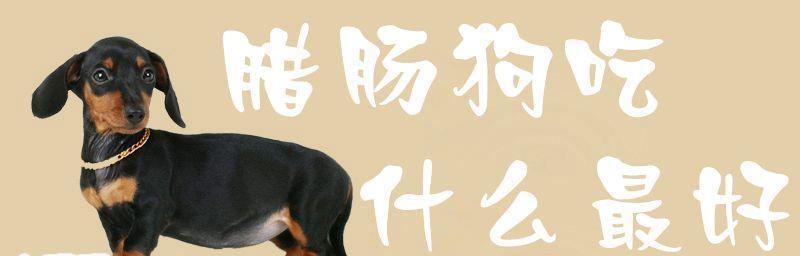 腊肠犬缺乏维生素的疾病（宠物腊肠犬缺乏维生素会发生什么？）