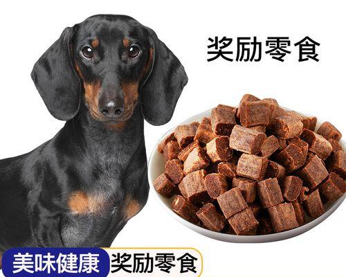 如何为腊肠犬提供全面的营养（以宠物为主，打造健康可爱的腊肠犬）