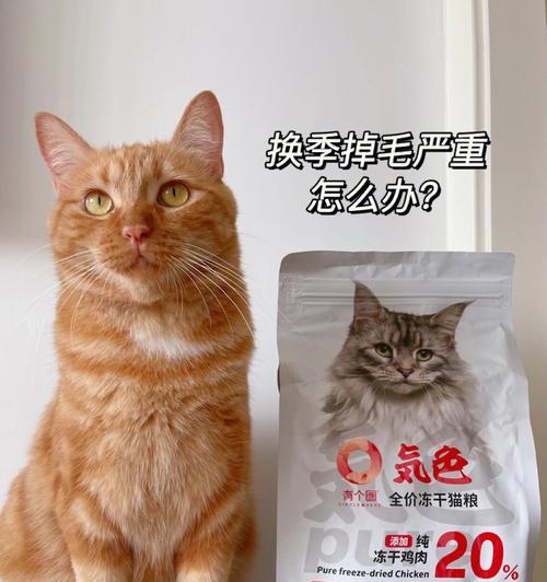 揭秘猫咪掉毛的真相（探究大量掉毛的原因及解决方法）