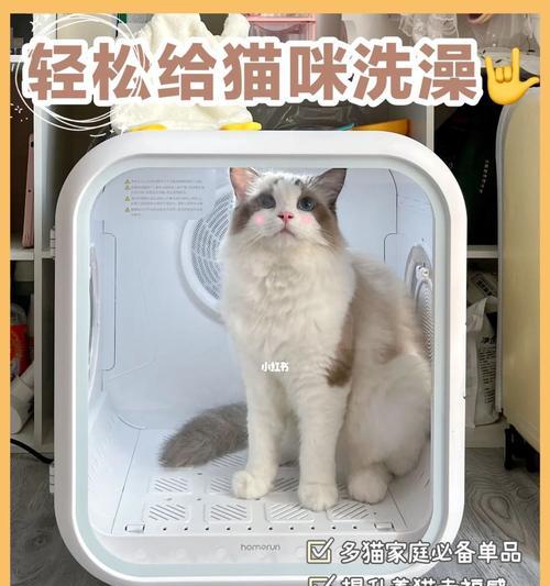 如何给宠物猫洗澡？（掌握这五个步骤，让你的猫咪清爽干净）