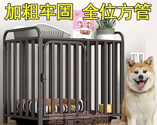 秋田犬不喜欢睡狗窝，怎么办？（以宠物为主，轻松解决秋田犬不喜欢狗窝的问题）