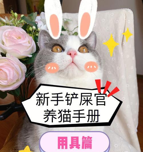 让宠物猫咪养成使用猫砂盆的好习惯（培养宠物猫咪使用猫砂盆的技巧与注意事项）