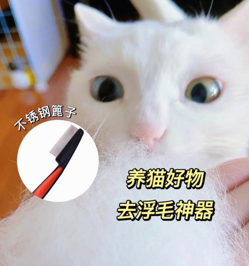 解决宠物猫大量掉毛问题的有效方法（如何让你的猫毛发更健康）