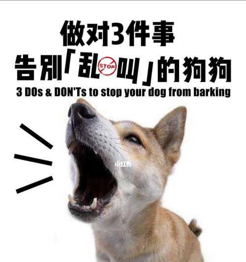 怎样让你的爱犬停止乱叫（有效防止狗狗无故乱叫，让你的宠物更健康快乐）