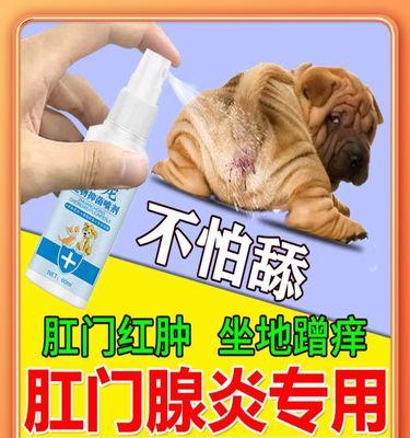 小狗狗肛腺炎的治疗与恢复（探究肛腺炎的产生原因、治疗方法和预防措施）