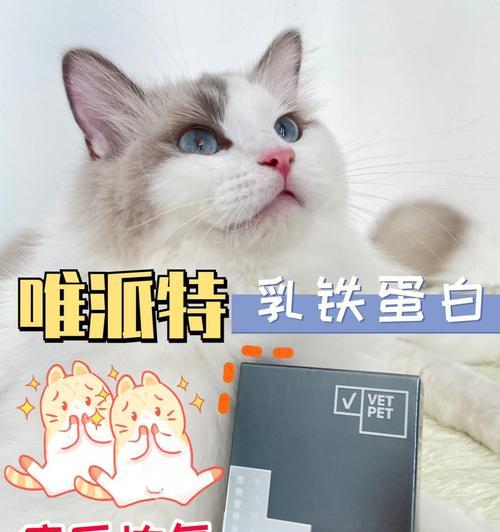 怎样帮助宠物猫咪克服感冒不吃东西（探究造成猫咪感冒的原因与缓解方法，让宠物健康饮食。）