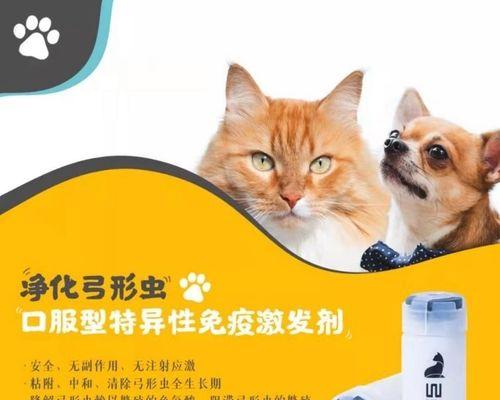 宠物猫弓形虫检查结果的解读与处理（如何保障你的爱猫健康？——弓形虫检查教程）