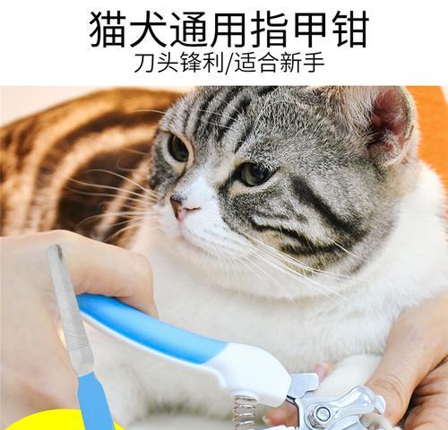 以猫用人的指甲刀怎么剪（指南）