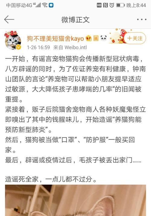 与猫咪同住，小心这些疾病传染给人（宠物爱好者必读，预防猫传染病从我做起）