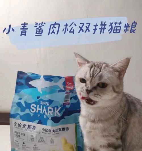 五个月小猫咪该如何用药？（宠物医疗常识分享，让你的猫咪安心吃药）