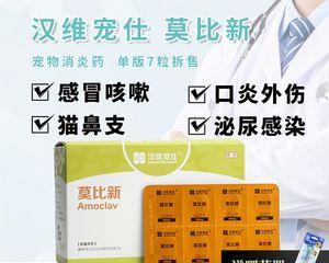 狗狗吃阿莫西林的使用方法与注意事项（掌握正确使用方法）