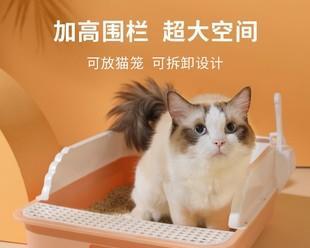 猫咪如何正确使用猫砂（以宠物为主）