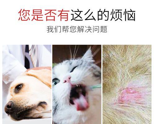 宠物猫咪跳蚤困扰（一款洗浴产品的比较及使用方法）