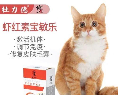 猫咪过敏，你需要了解的所有知识（以猫咪过敏的图片为主题）