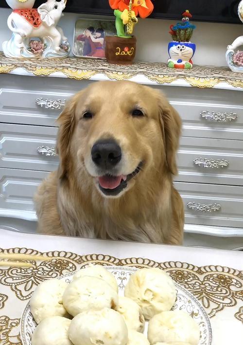 狗狗吃生鸡蛋到底能不能降火（探究狗狗饮食中的迷思）