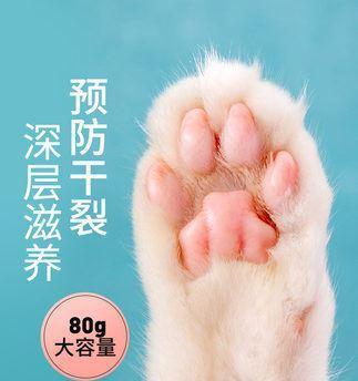 狗狗脚掌红肿，如何治疗（宠物主人必看）