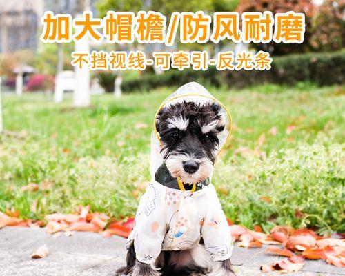 狗狗幼犬的必打针（宠物保健从打针开始）