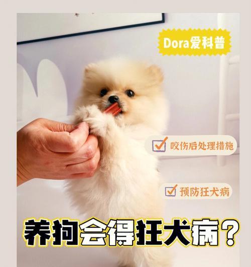 狗的狂犬病真的没什么毛事吗（揭开狂犬病的真相）