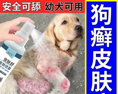 狗之间传染的疾病及预防方法（宠物犬常见传染病）