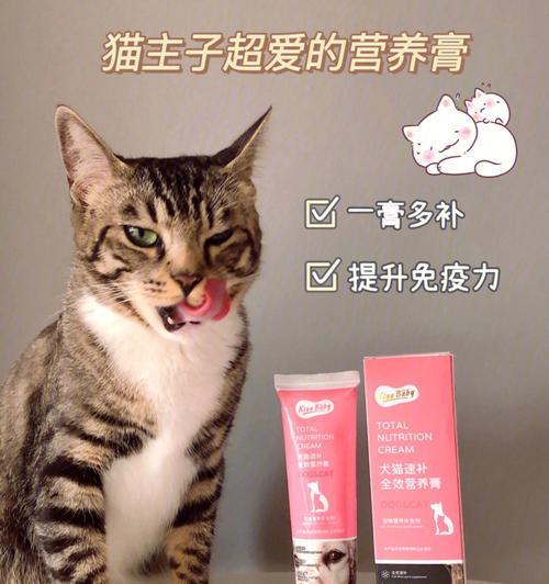 小猫营养膏的正确喂养方法（以宠物为主）