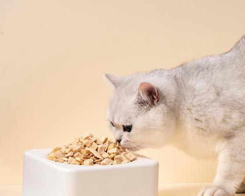 如何合理安排宠物猫每月的饮食量（掌握关键数据和技巧）