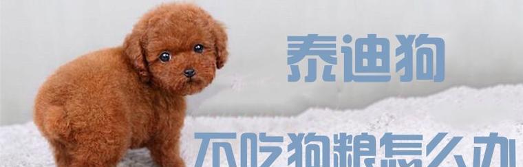 为什么要泡幼犬的狗粮（以宠物为主）