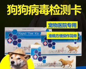 如何预防幼犬细小犬瘟（以宠物为主）