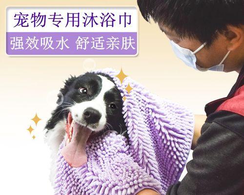 如何给你的边境牧羊犬洗澡（掌握正确的洗澡技巧）