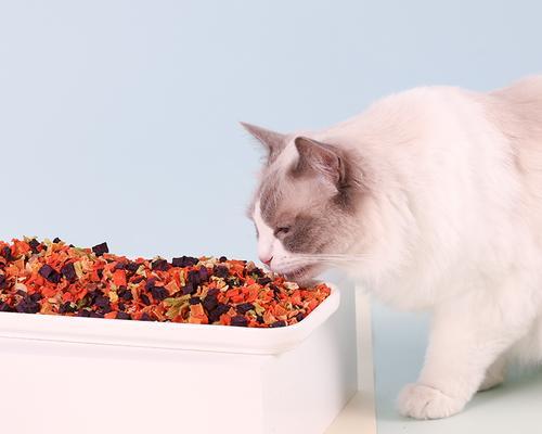 如何让宠物猫吃更多的蔬菜（教你如何引导宠物猫咪开启蔬菜营养之旅）