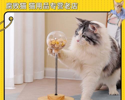 如何为宠物猫制作健康美味的食品（探究猫咪健康食品的制作方法和要点）