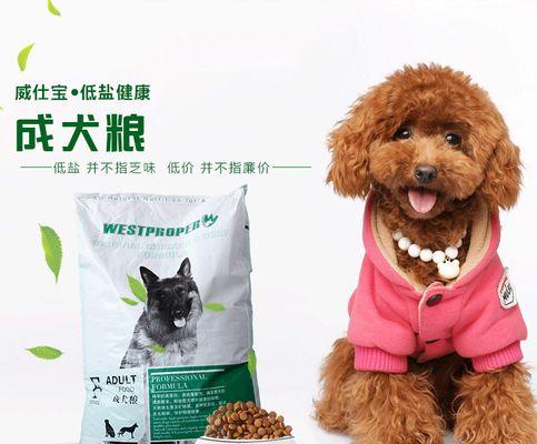 3个月金毛犬狗粮喂养指南（金毛犬的营养需求及合适狗粮选择）