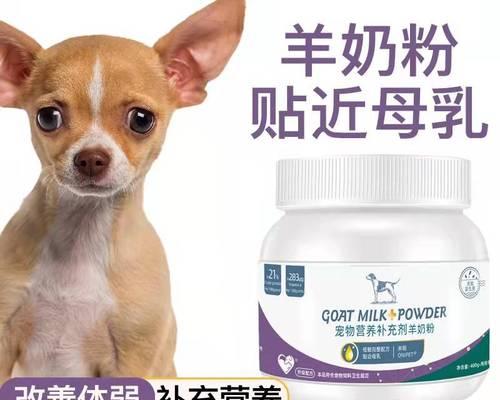 宠物犬食入过量导致腹泻与便血的病因及治疗方法