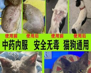 如何避免宠物猫带来的皮肤病（从宠物卫生、饮食到常规检查）